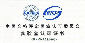 CNAS認(rèn)可的專業(yè)咨詢單位機(jī)構(gòu)在軟件開(kāi)發(fā)領(lǐng)域的作用